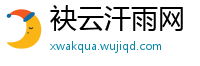 袂云汗雨网